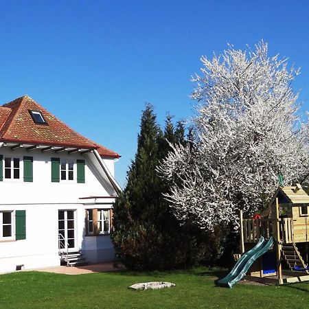 Schwarzwaldhaus24 - Ferienhaus Mit Sauna, Whirlpool Und Kamin Gemeinde Gemeinde Aichhalden Exterior foto